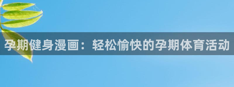 球王会体育