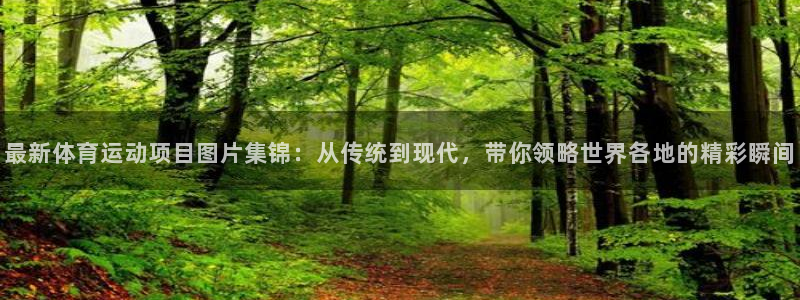 球王会体育