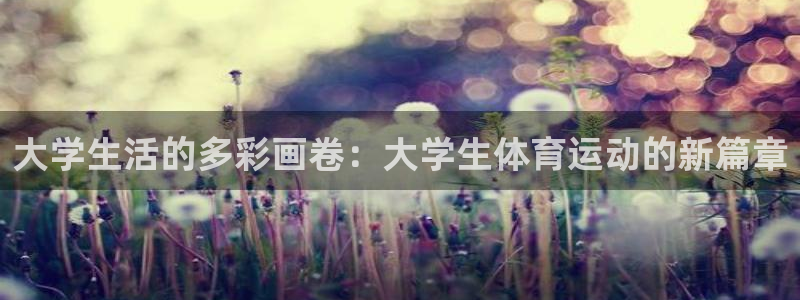 球王会体育