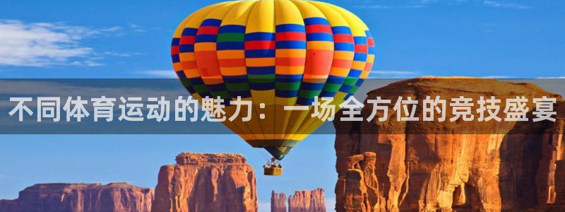 球王会体育