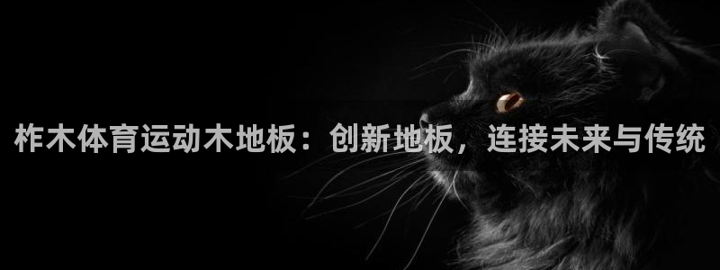 球王会体育
