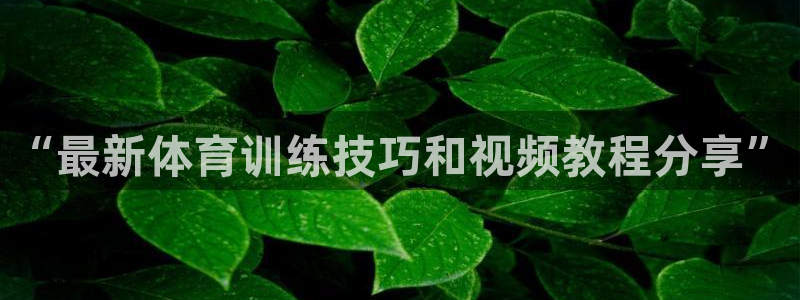 球王会体育