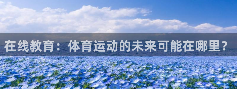 球王会体育