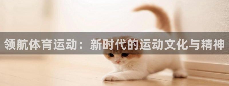 球王会体育