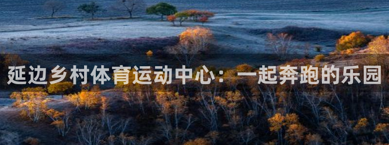 球王会体育