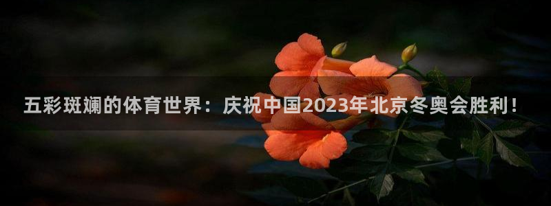 球王会体育