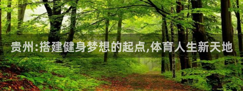 球王会体育