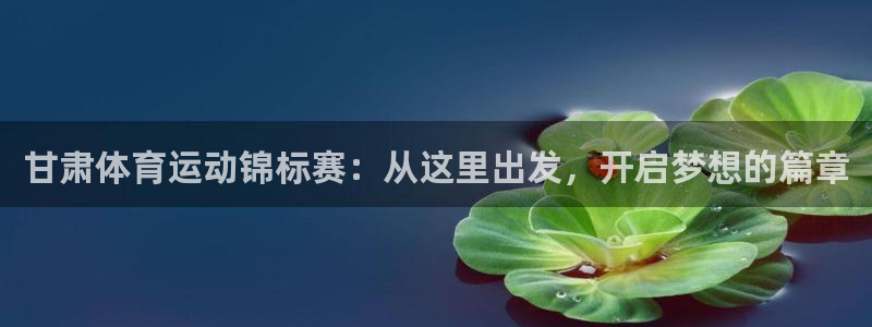球王会体育